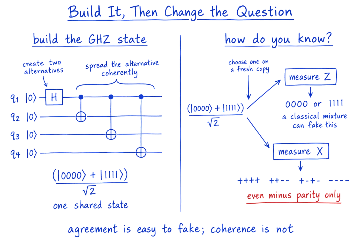 Build it, then change the question. Left: a four-qubit circuit in which a Hadamard gate on q1 creates two alternatives and three CNOT gates from q1 to q2, q3 and q4 spread them coherently, giving (|0000⟩ + |1111⟩)/√2, one shared state. Right: on a fresh copy, choose one measurement. Measuring Z gives 0000 or 1111, which a classical mixture can fake. Measuring X gives outcomes such as ++++, ++−−, +−+− and −−−−, with an even number of minus signs only. Bottom: agreement is easy to fake; coherence is not.
